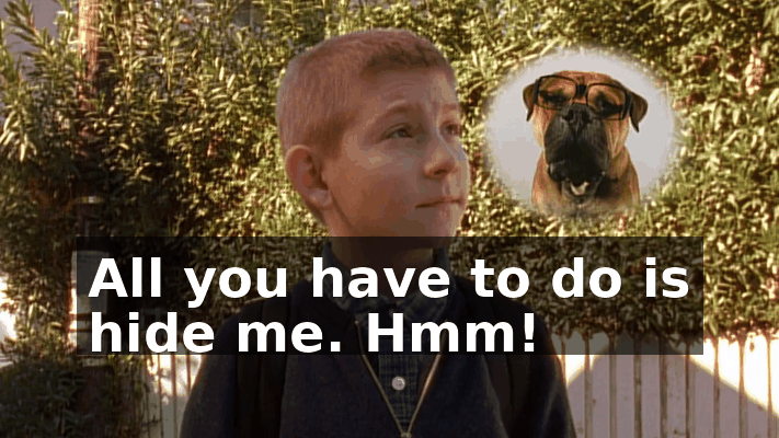 398b0009-e621-48f1-89e7-9fb7c4ba6d83.gif