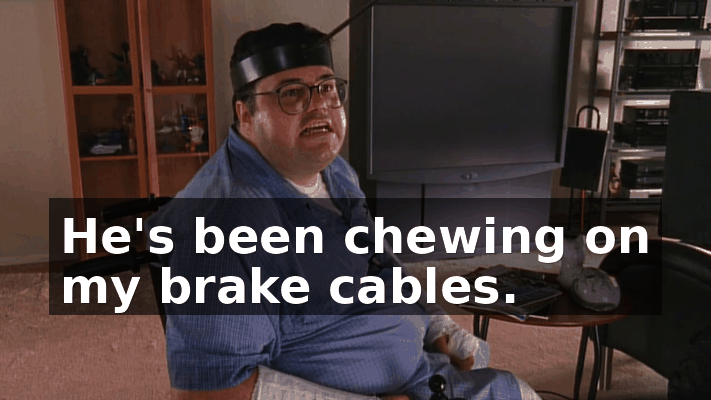a56d9737-35d7-4c4f-9258-96841009a132.gif