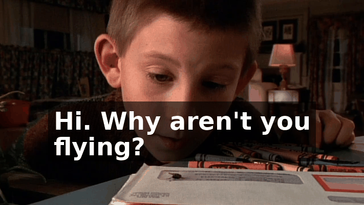 79388e40-f231-4dbe-ae40-9aa2fbd4930f.gif