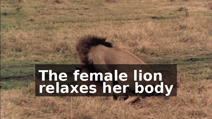 b7955429-2a82-4fb0-bd35-99e8c85de5e3.gif