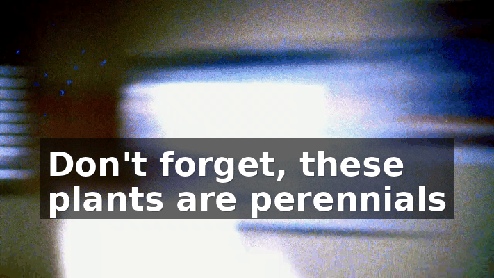 0e78461e-4983-4d12-bc03-1443b3671d30.gif