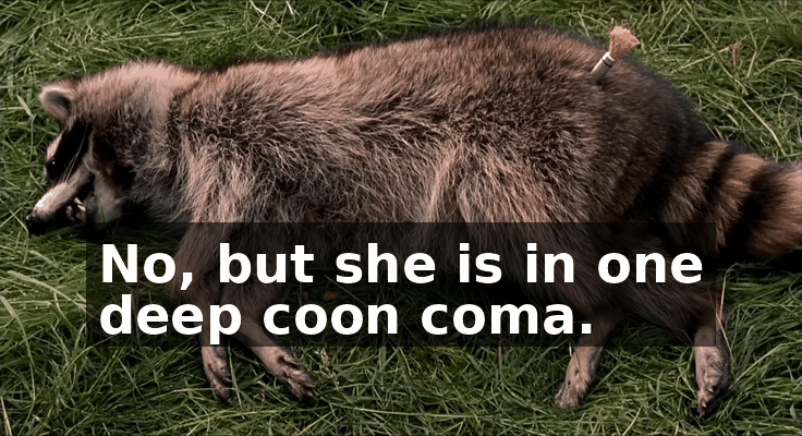 b2922a18-82b4-462a-876c-e0b81faf295f.gif