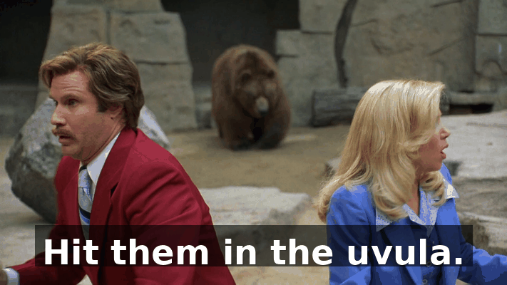 fe06c347-b4dc-47d4-aa8f-b13d666ef86c.gif