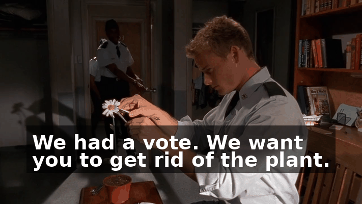 7d8081de-adb0-41ed-b270-08267a998d23.gif