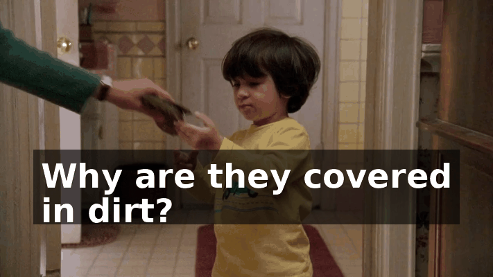 a7251573-90fd-409b-877d-7d8acb44f71b.gif