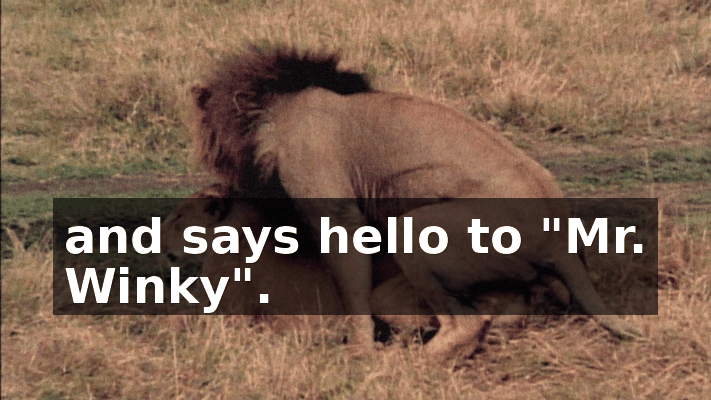 839bf6b9-7d45-4501-b905-8e04de61b1ed.gif