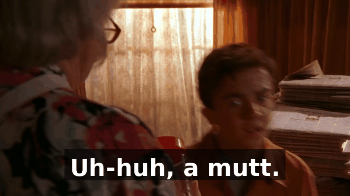 64c5d0dc-7c44-4223-b077-84b92e6d6c52.gif