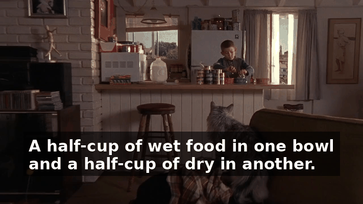 243d8926-b96f-4b0c-96c7-7fa6b8619710.gif