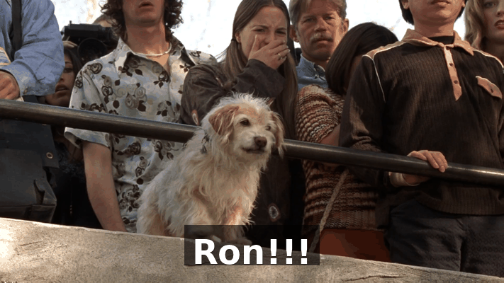 81396db4-aaf0-4bed-ba49-15b1b8ab9b3e.gif