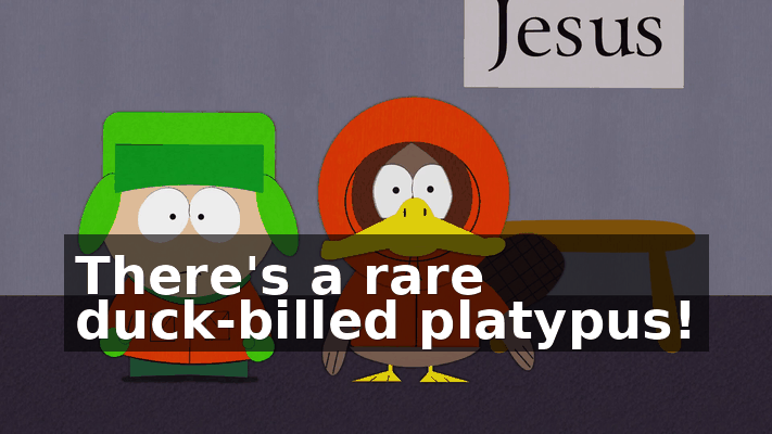 29be4f25-d153-477b-8b62-6a4a1f3968bb.gif