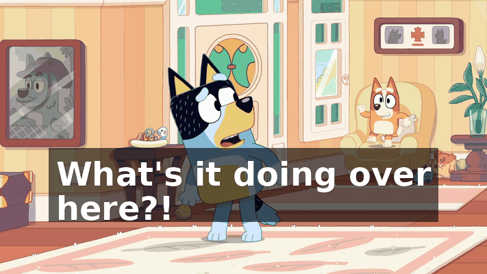 fe80881e-70d1-4f3f-a6bc-1041702302f8.gif