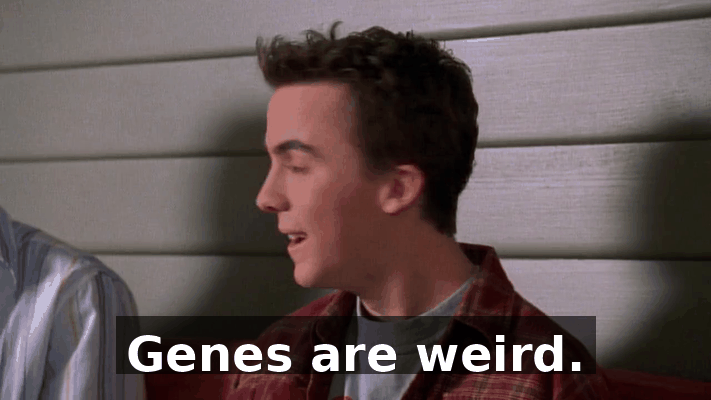 14997ca9-37f2-4814-9b57-ad004e85880c.gif