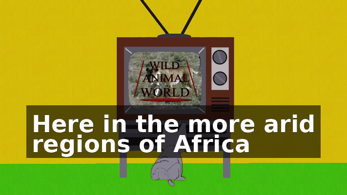 5d7011af-fd74-408c-a47a-9198c3a8abd6.gif