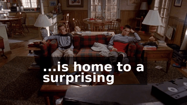 b4fe0cbf-92d3-44f3-9f30-2dd56d04e91e.gif