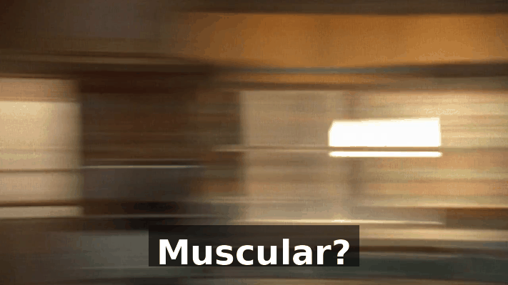 b4afdadd-8182-41b1-93a9-f626253f6eb9.gif