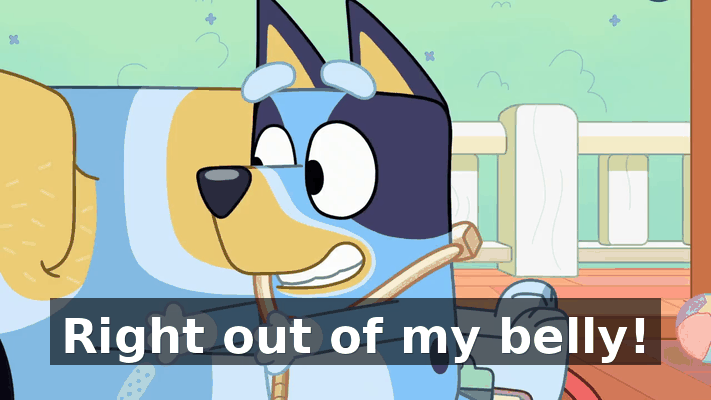 fe6a567c-7694-4079-bb6c-4020324bd021.gif