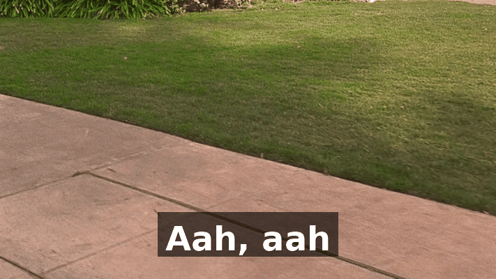 49c53d89-11af-4219-85ed-6bd0fcc89af2.gif