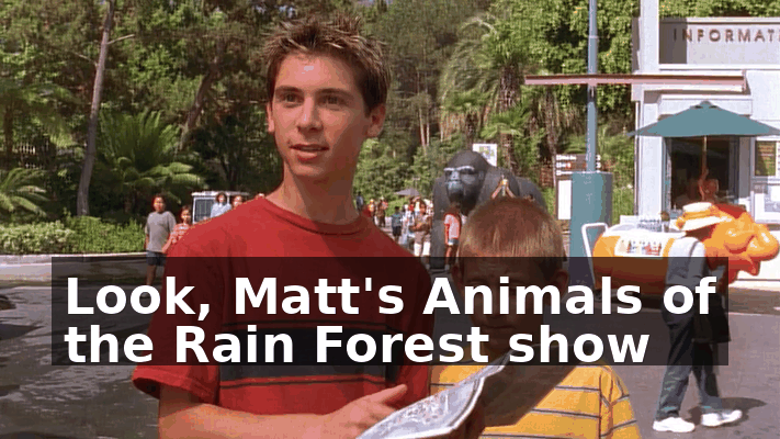 ec141607-7b77-4317-83e2-bb29edb09e1b.gif