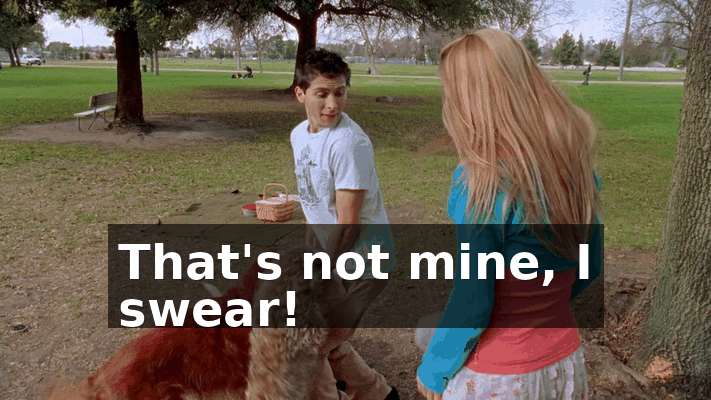 d1ff8874-d426-45a3-86bb-e008054bb280.gif