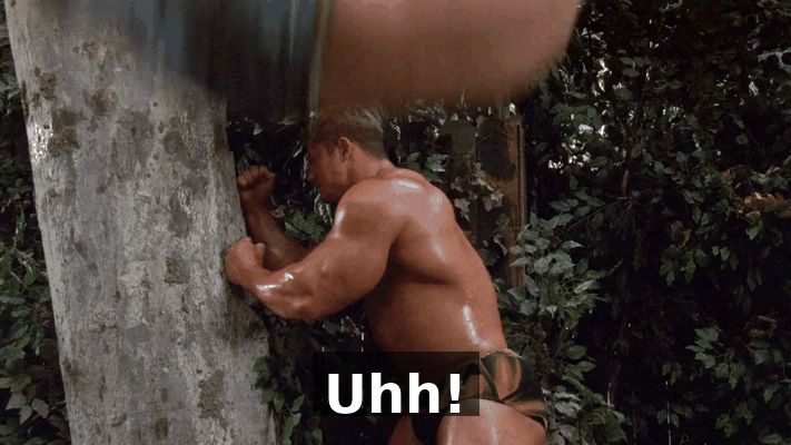 e889e5f3-3e5a-482e-8ab1-4046f4c94ff9.gif