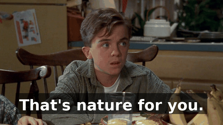37eb3392-f0bd-4ce0-aa16-8ab324273fe0.gif