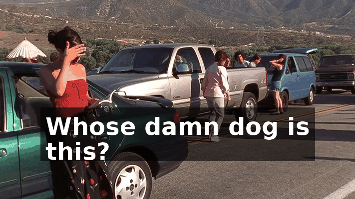 a98a233a-9266-4f08-bc78-912fc9cfaa11.gif