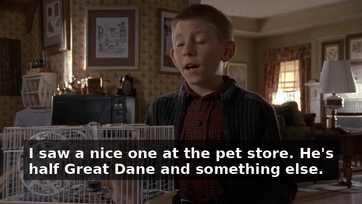 f931d19c-d239-4528-af79-794b04327f82.gif