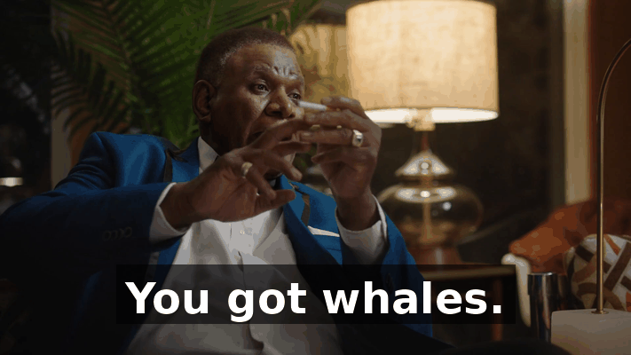4b7e3079-1328-4fe3-bd4f-f04f2060f7af.gif