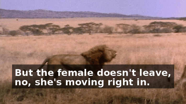 de2ee429-bed1-4d2d-b7d8-c0df3d10244d.gif