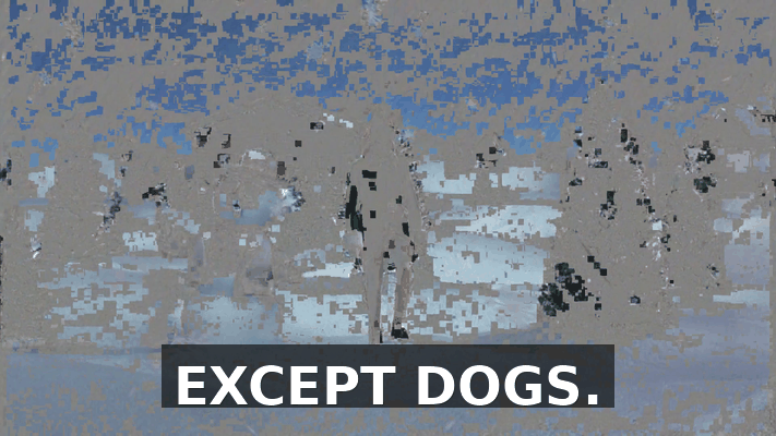 797c80b6-8267-4af5-84a8-3cda42e1892b.gif