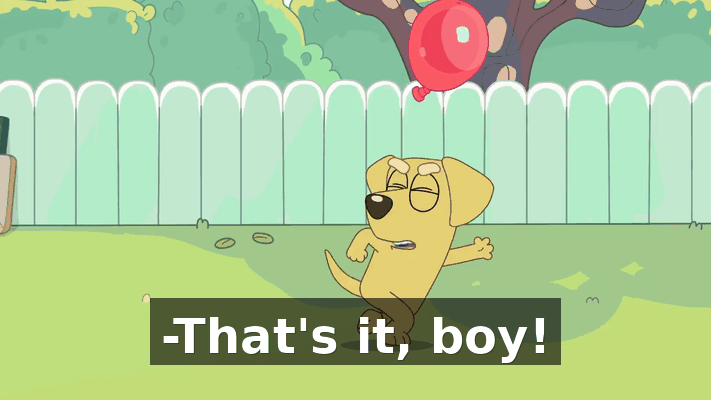 62871f17-fa58-4c11-b7c6-f01d984346c5.gif