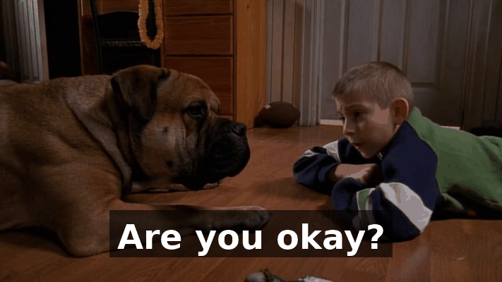 da31abd7-07a0-4933-8d6c-1f436b342f37.gif