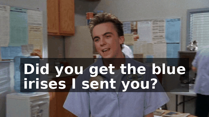 4c1686a1-3531-4f03-8368-86c3dfbb93fc.gif