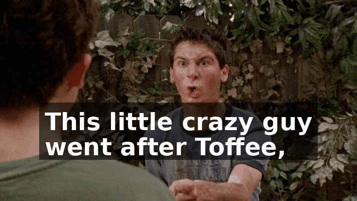 c47f28fa-3a9c-4a46-8df3-911d399ee60c.gif