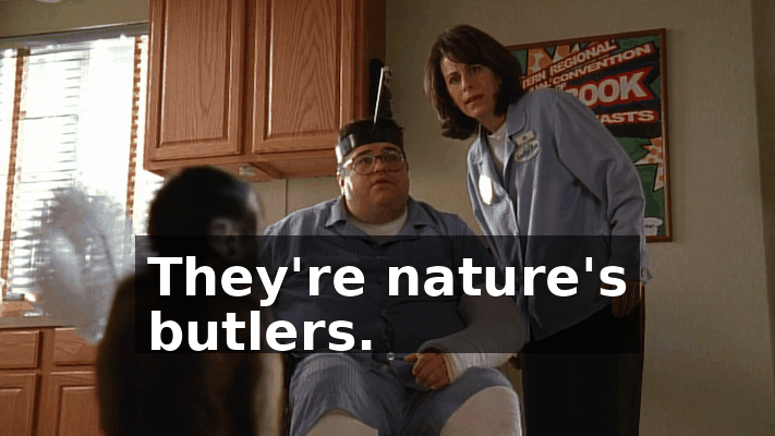 205ced6c-725b-4a7a-a00f-2bb0f4160c43.gif