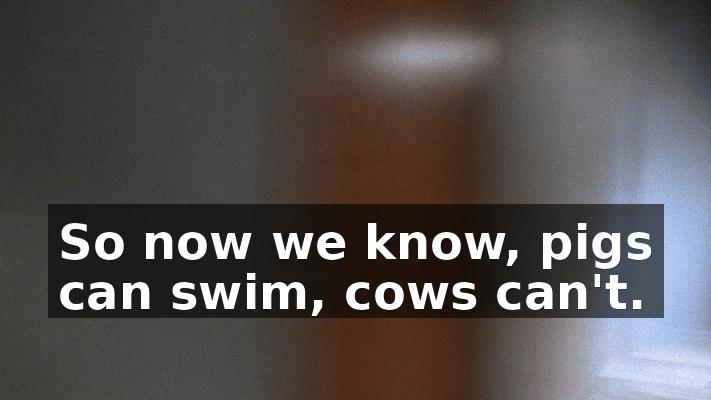 10b2c0c2-0b3b-405b-94d5-07a30531201a.gif