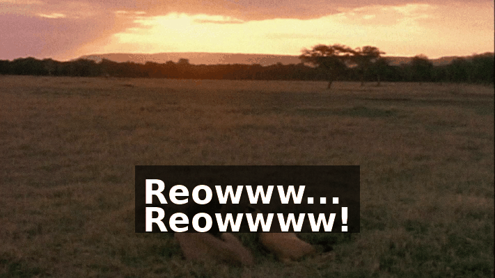3010d10e-107f-403f-b317-a471a491d3dd.gif