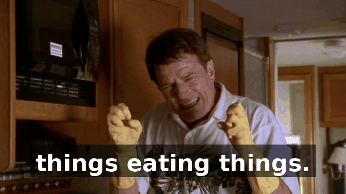 c747cbbc-63e6-46f9-be12-c5d4db6c3091.gif