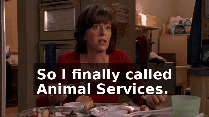 ae92d551-03b4-4840-947f-775a0eb419ec.gif