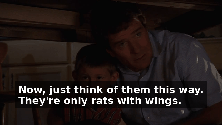 a366580d-629e-41fe-850b-75bc99b04633.gif