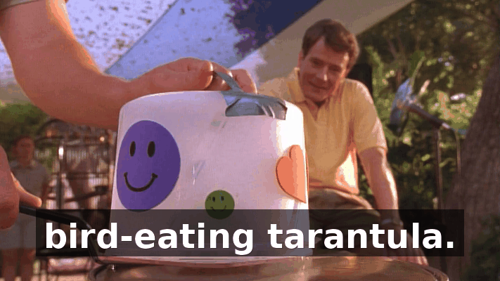 78802bca-7de9-4c3e-a8e1-f06881d9397b.gif