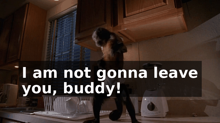 0d646913-a834-47e3-bef1-864347a85a2e.gif