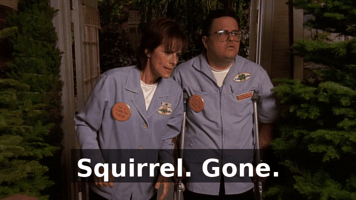 a6985c8e-07ce-4a10-bc3f-8e4a03e7e4f3.gif