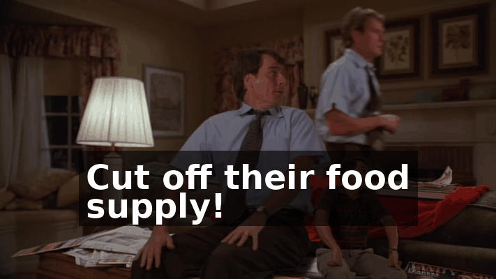 0f02a4f4-b717-4419-ba3e-4fb5b01429c3.gif