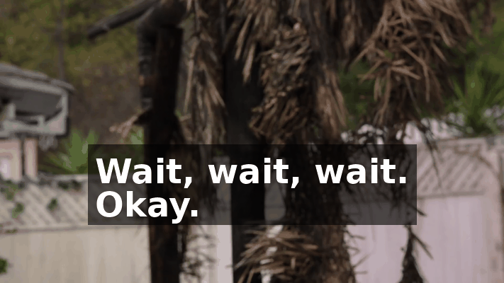 0ba93eb3-cd88-4334-ac5e-4732b13397ca.gif