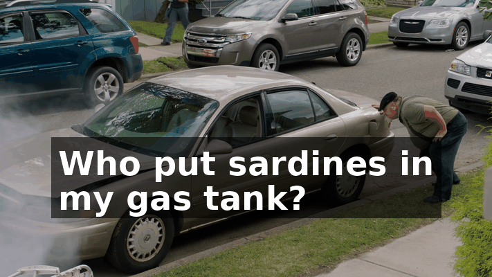 bfa07b82-918a-4d8b-86a2-eacbe49b6d05.gif