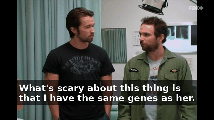 51729311-cfe9-440c-9429-332072b4ab2a.gif