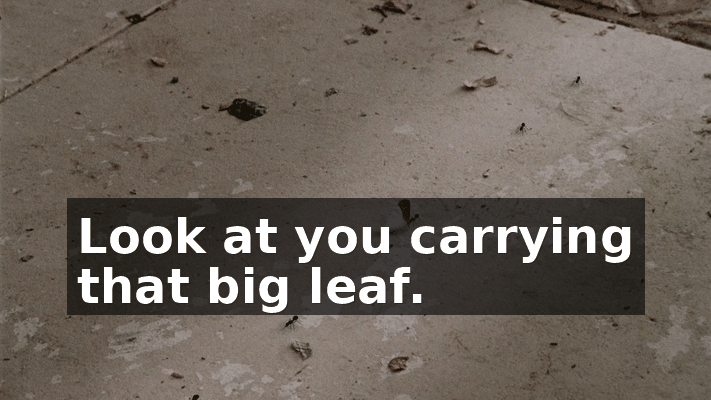 ba0d2443-7b33-4e6b-88f0-8f592b4aeeb8.gif