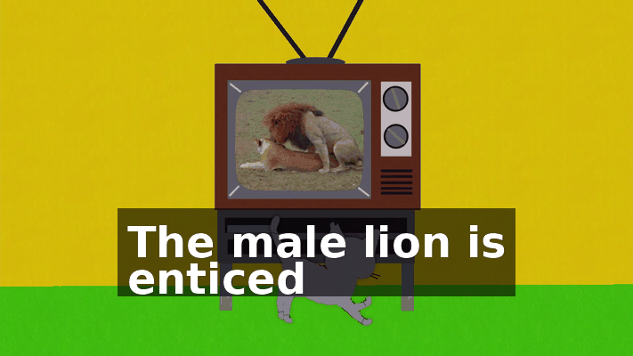9c40c7c6-27dd-4233-98f5-7321cb756cb0.gif