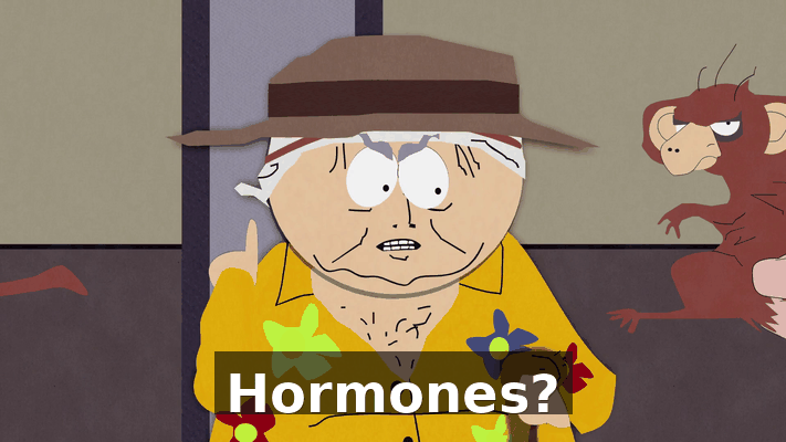 ca0d0240-d1e4-4d5c-b92f-d88daa9b7e9f.gif